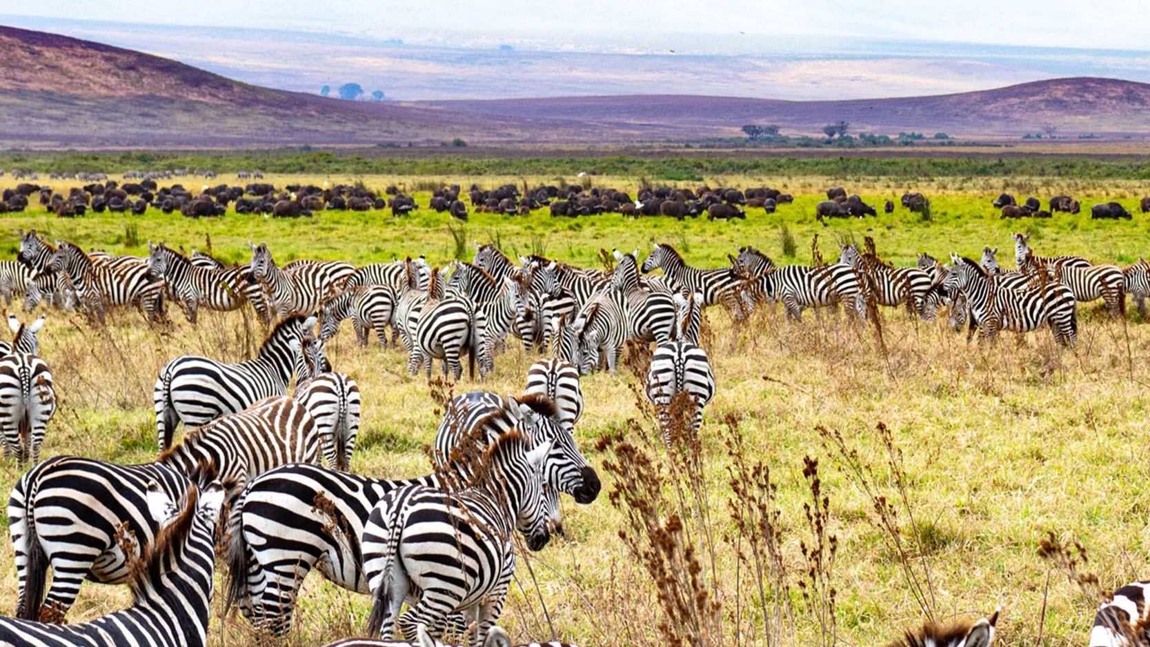 Serengeti National Park