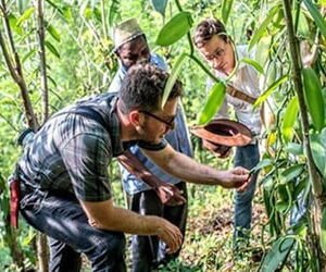 SPICE TOUR (half day)